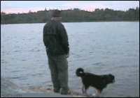 /album/galeria%20de%20fotos%3a%20gifs%20engra%c3%a7ados/fisherman-pushes-dog-lake-gif/