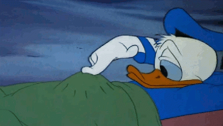 Pato tarado AUHSHUASHUSA